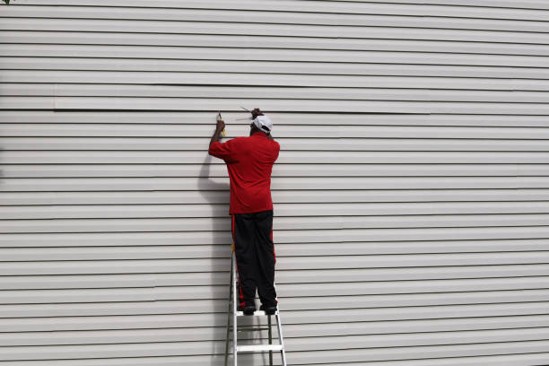Best Hoarding Cleanup  in North Tonawanda, NY