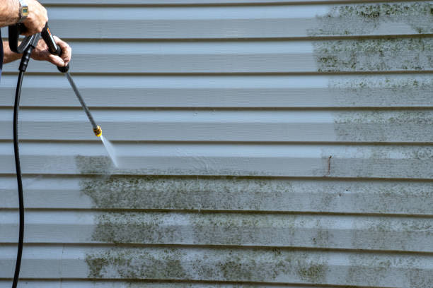 Best Construction Debris Removal  in North Tonawanda, NY